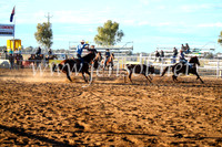 CoonambleRodeoCampdraftSun_1527