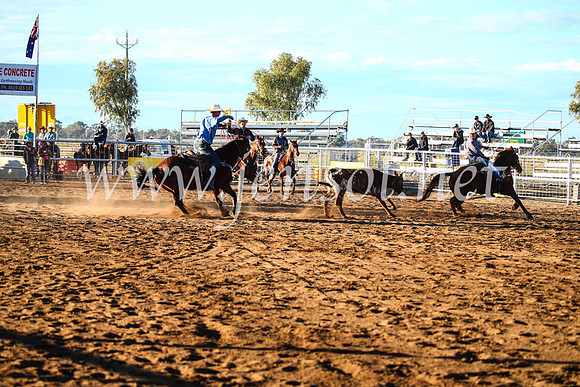 CoonambleRodeoCampdraftSun_1527