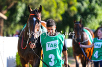 SydneyFeb2015_0289