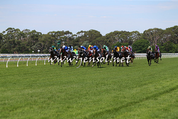 SydneyFeb2015_0245