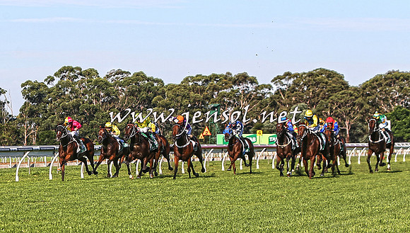 SydneyFeb2015_0376