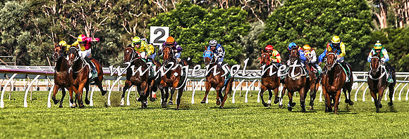 SydneyFeb2015_0365