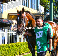 SydneyFeb2015_0305