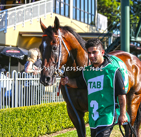 SydneyFeb2015_0305