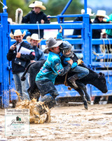 TumutRodeo2019_0041