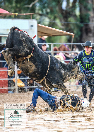 TumutRodeo2019_5648
