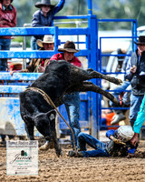 TumutRodeo2019_0677