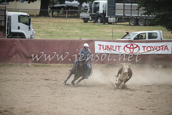 Tumut2_1245
