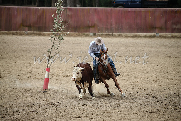 Tumut2_1129