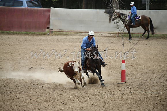 Tumut2_1068