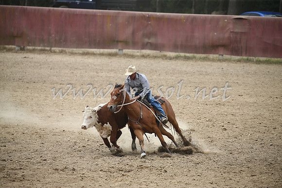 Tumut2_1208