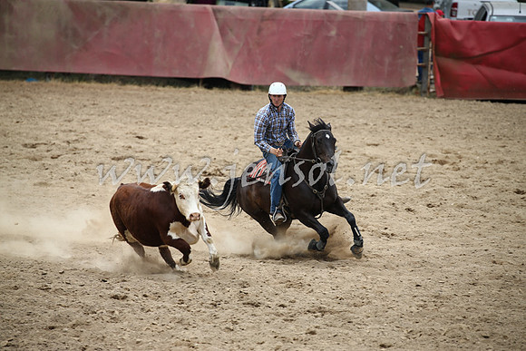 Tumut2_1313