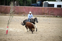 Stockmens Whip Sunday Open Final