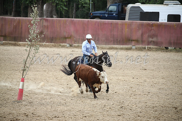 Tumut2_1368