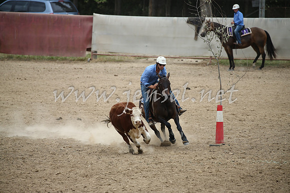 Tumut2_1066