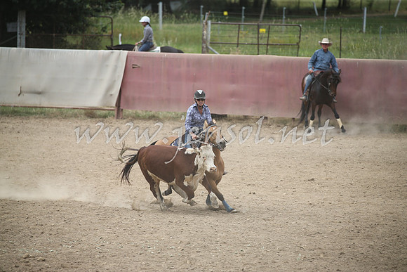 Tumut2_1304