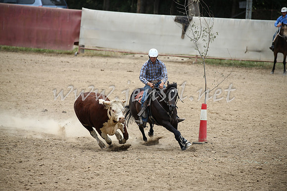 Tumut2_1262