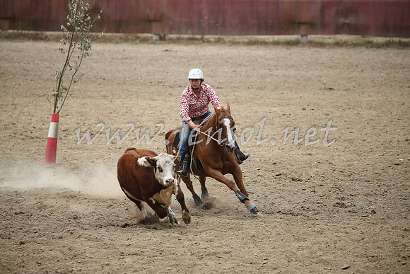 Tumut2_1140