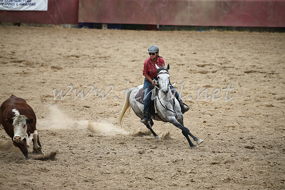 Tumut2_1265