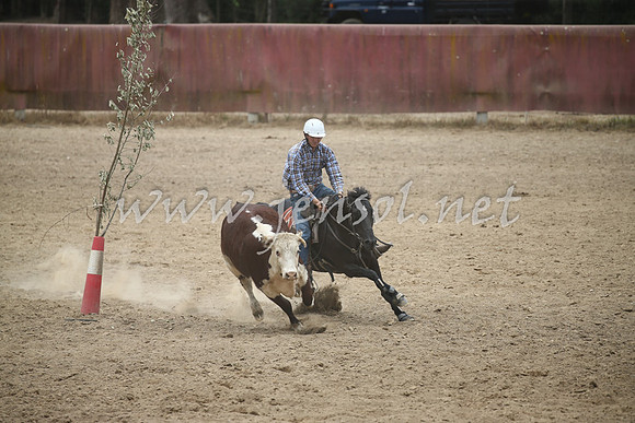Tumut2_1048