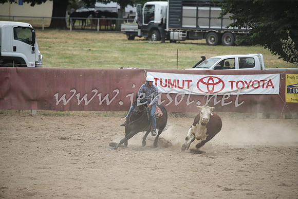 Tumut2_1251