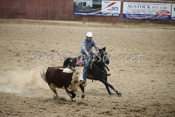 Tumut2_1031
