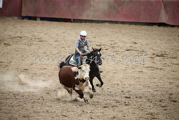 Tumut2_1267