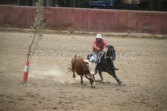 Tumut2_1167