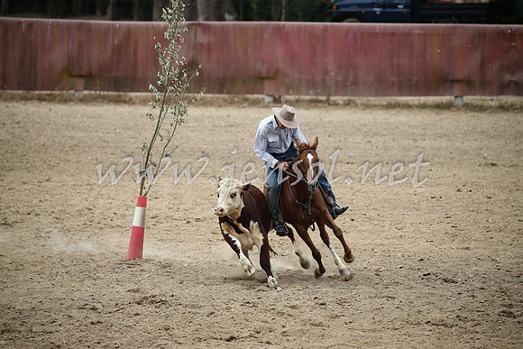 Tumut2_1127