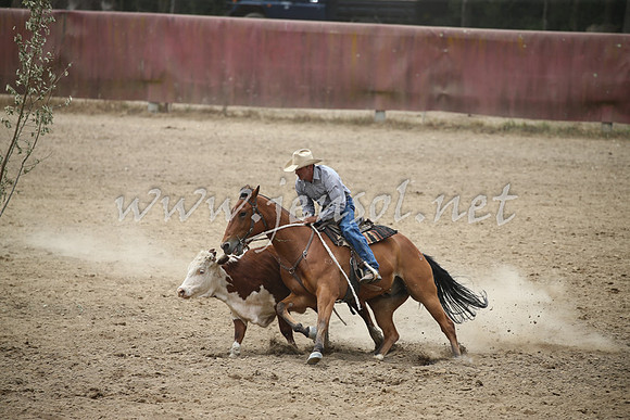 Tumut2_1204