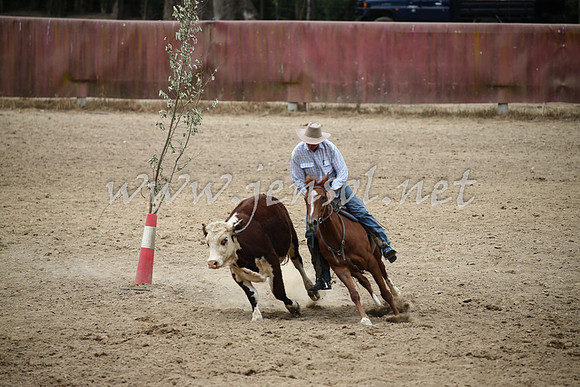 Tumut2_1126