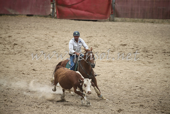 Tumut2_1081
