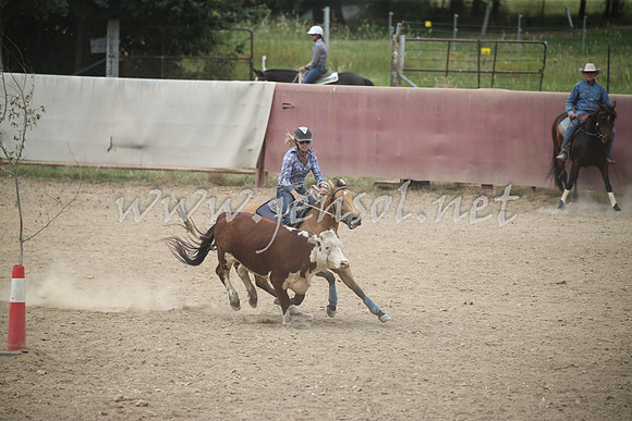 Tumut2_1305