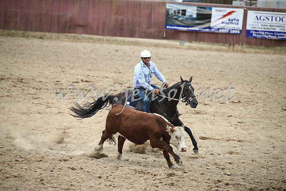 Tumut2_1361