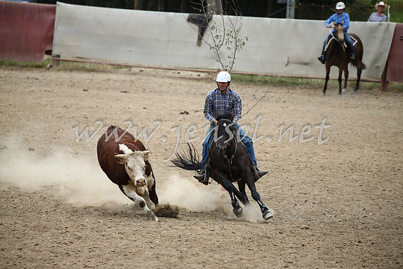 Tumut2_1254
