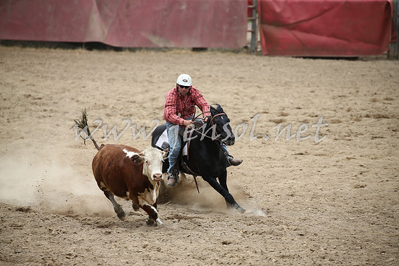 Tumut2_1159