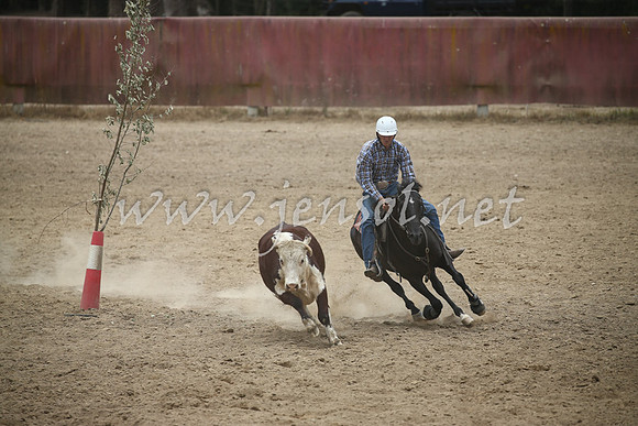Tumut2_1043