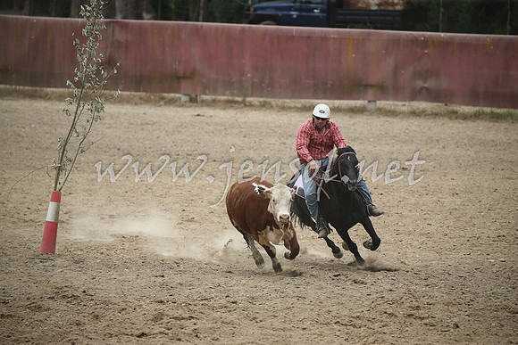 Tumut2_1168