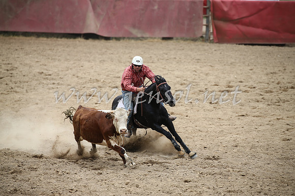Tumut2_1158