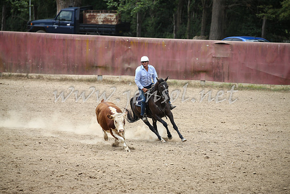 Tumut2_1185