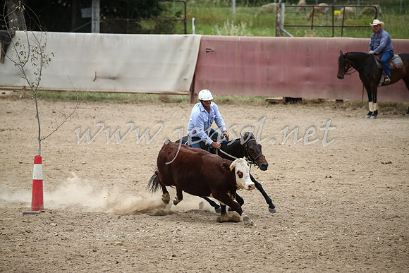 Tumut2_1020