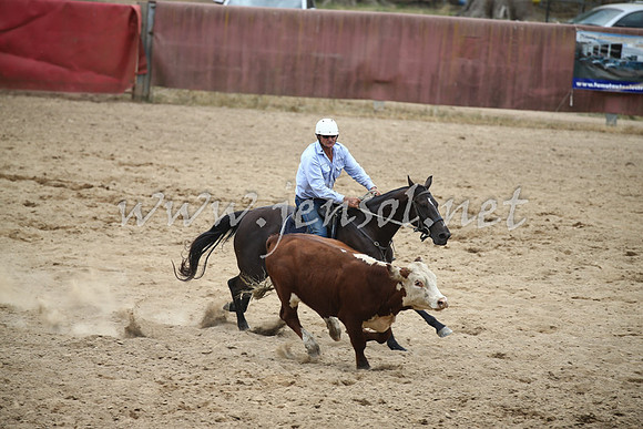 Tumut2_1354