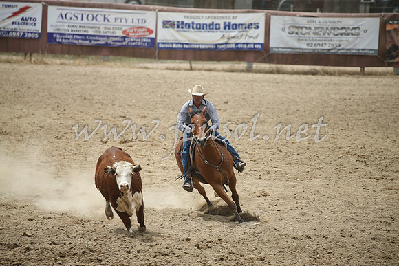 Tumut2_1189