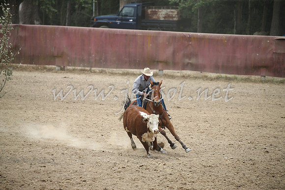 Tumut2_1205