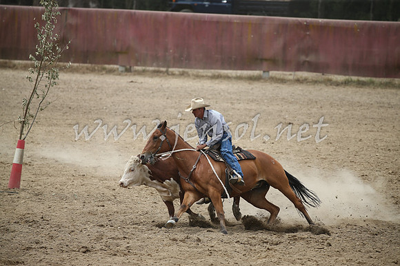 Tumut2_1203