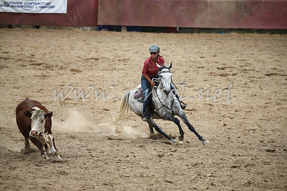 Tumut2_1264