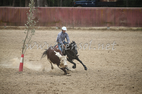 Tumut2_1046