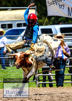 MoruyaRodeo2019_1123