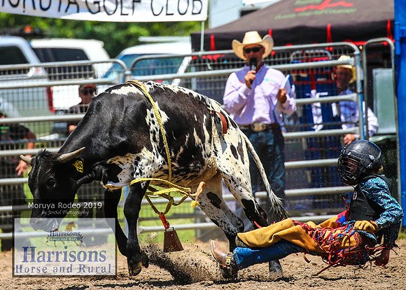 MoruyaRodeo2019_1270