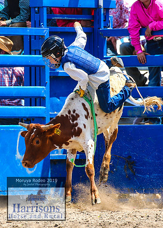 MoruyaRodeo2019_2292